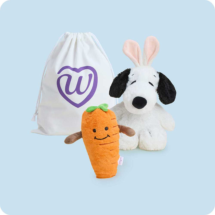 Snoopy Bunny & Carrot Easter Bundle